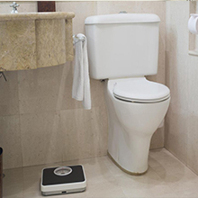 One piece Elegant Smart Toilet