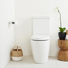 Popular chinese girl style sanitary ware toilet / go to wc